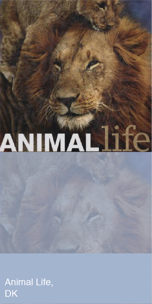Animal Life Book Cover