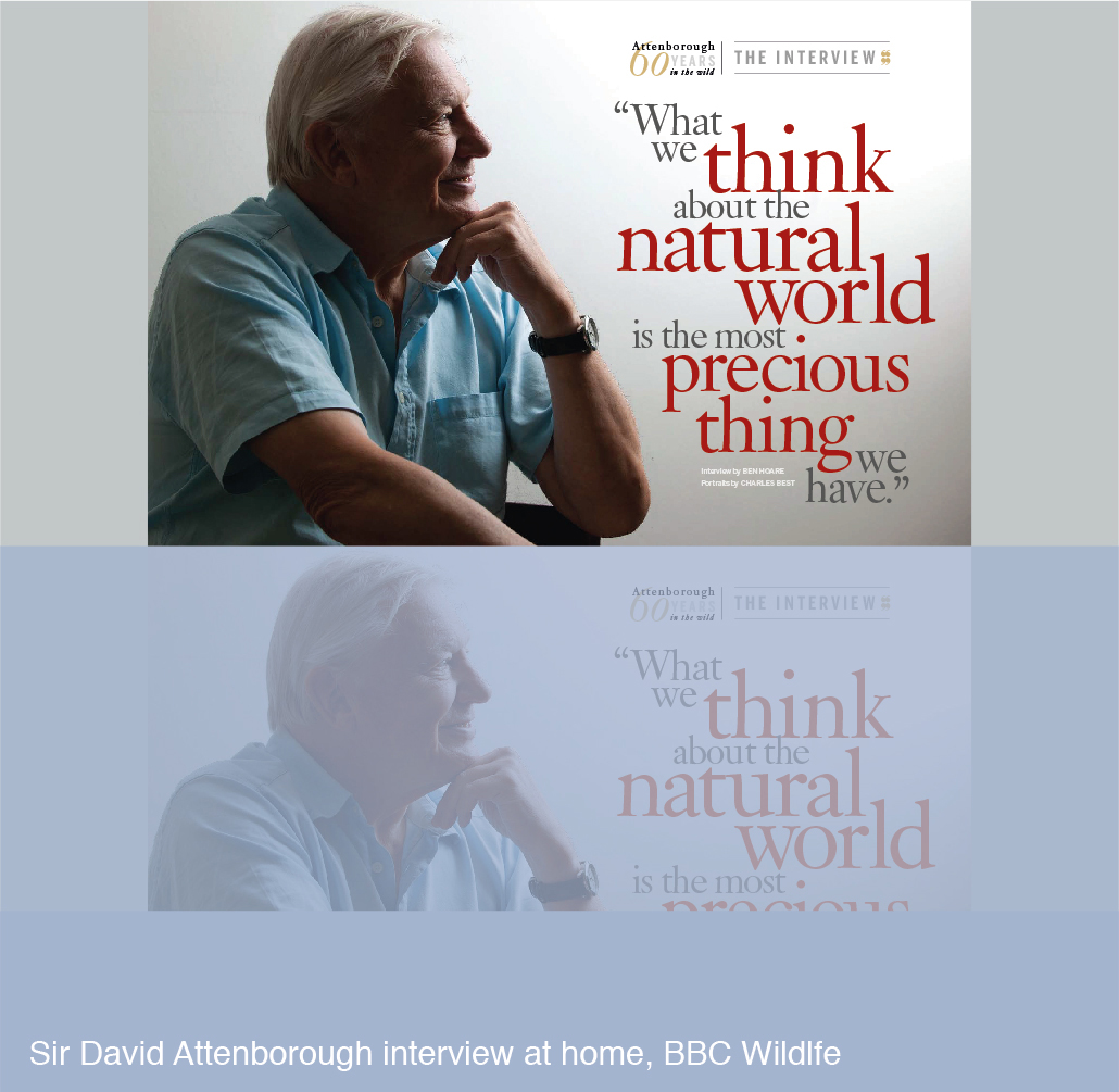 David Attenborough interview at home for BBC Wildlife