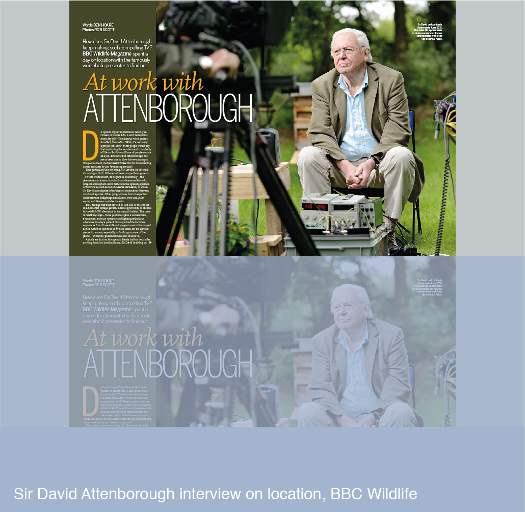 David Attenborough interview on location for BBC Wildlife