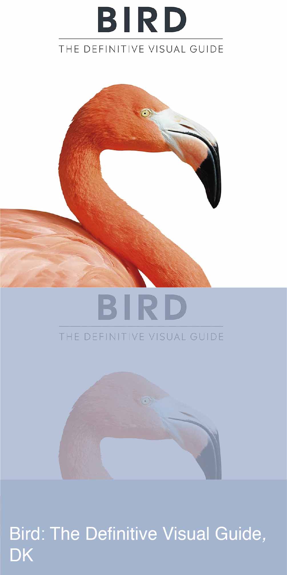 Bird The Definitive Visual Guide Book Cover