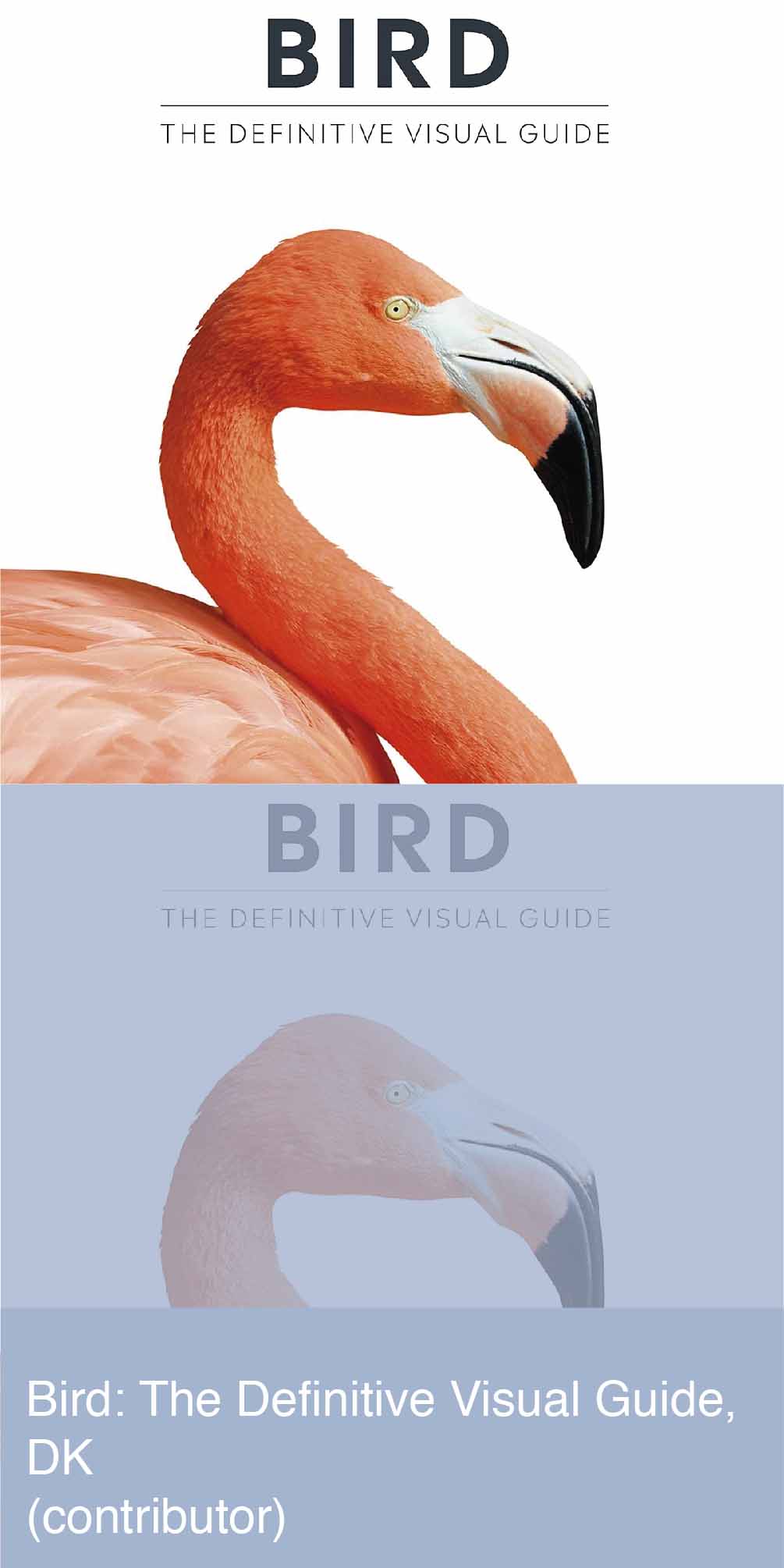 Bird The Definitive Visual Guide Book Cover