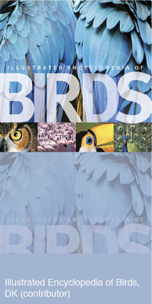 Illustrated Encyclopedia of Birds Book Cover