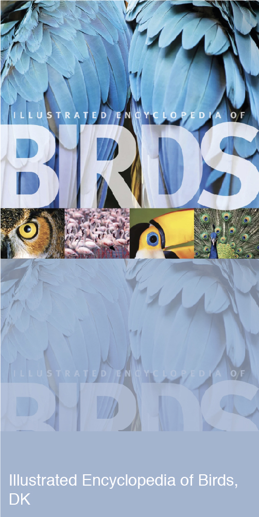 The Illustrated Encyclopedia of Birds Book Cover