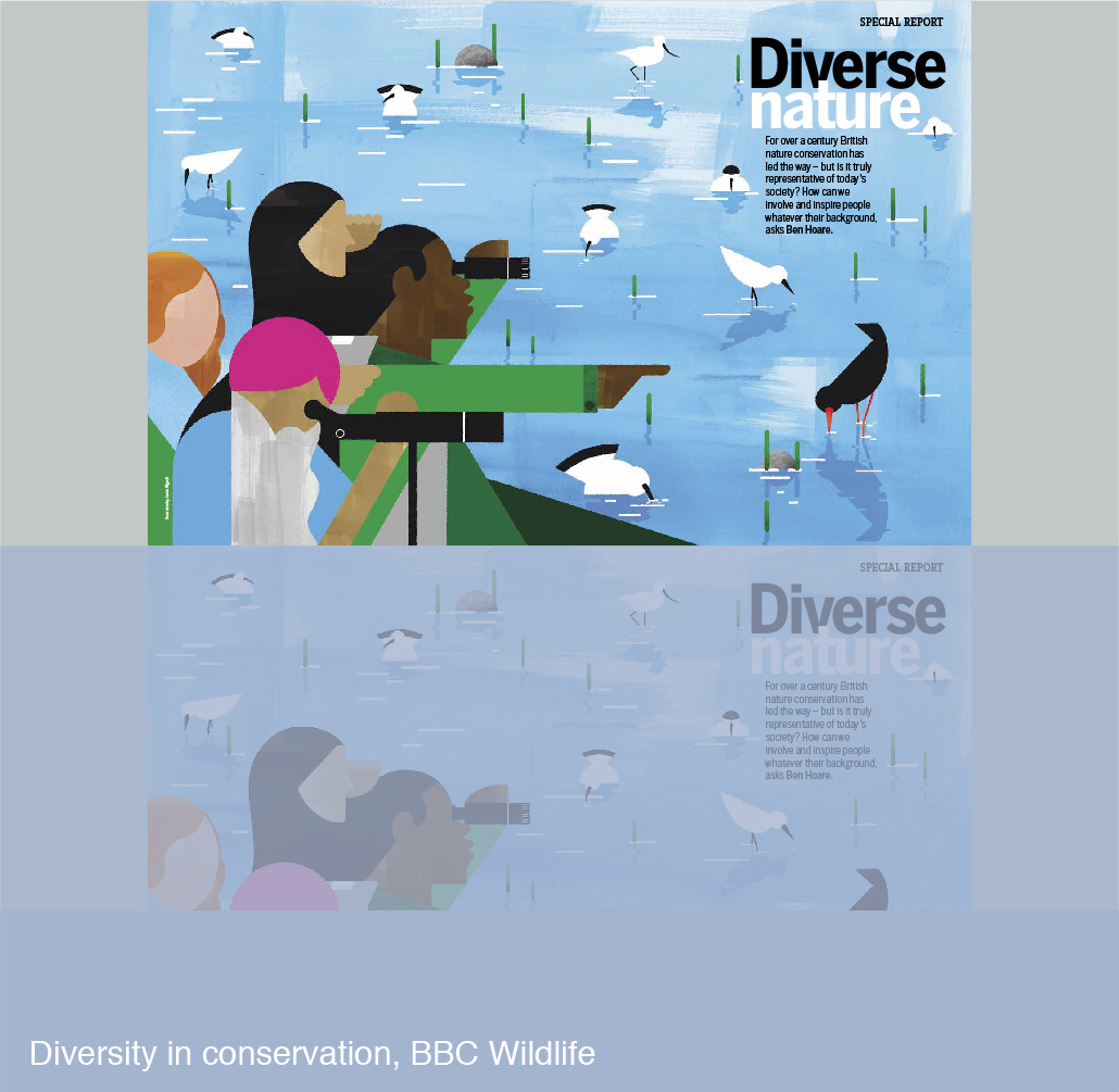 Diversity in conservation feature for BBC Wildlife