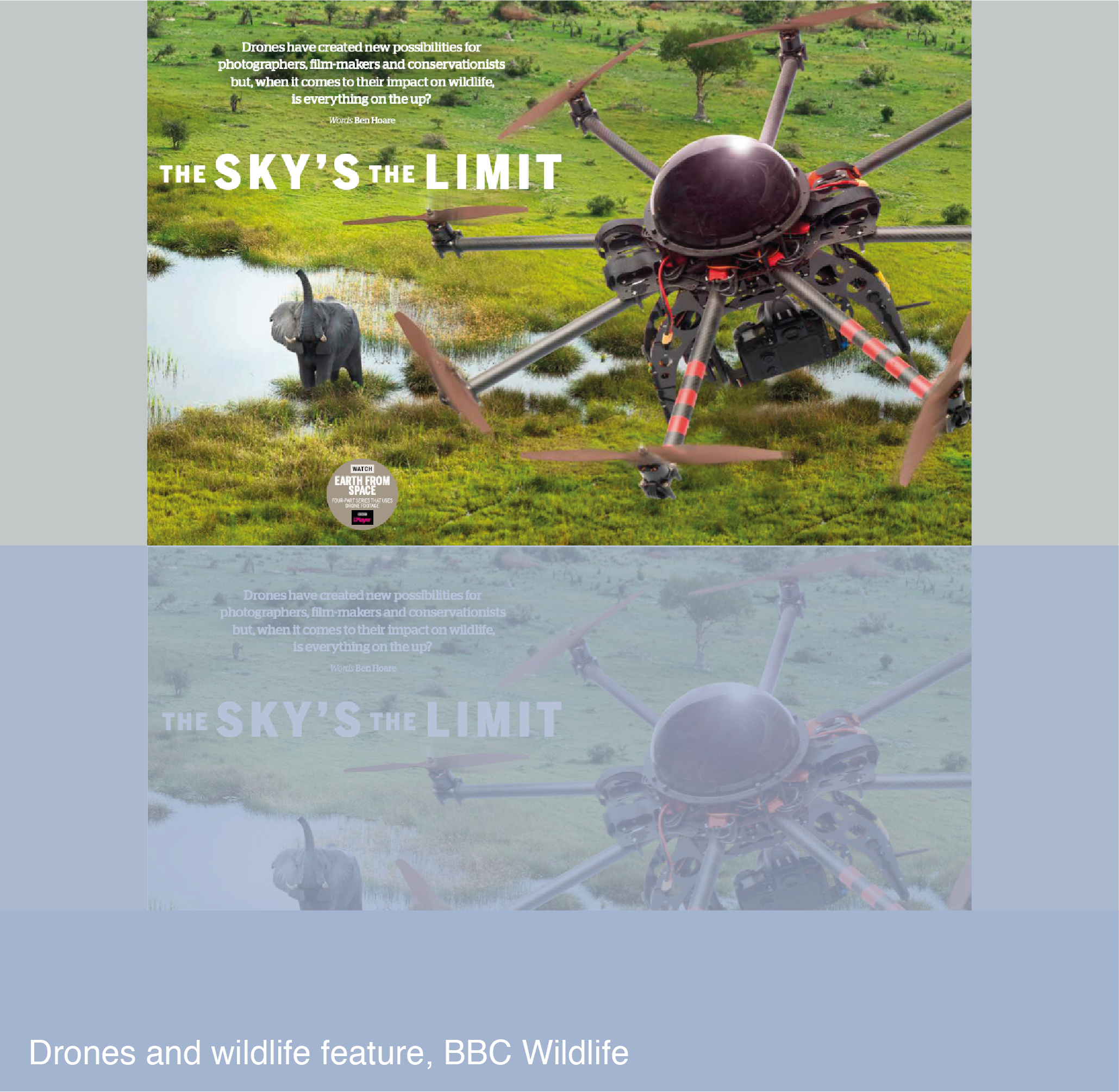 Drones and wildlife feature for BBC Wildlife