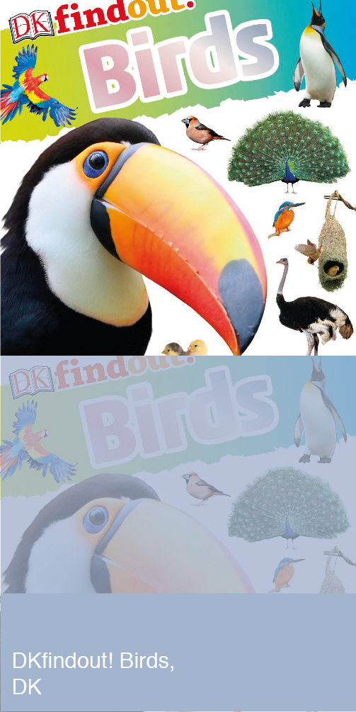 DK Find Out Birds Book Cover