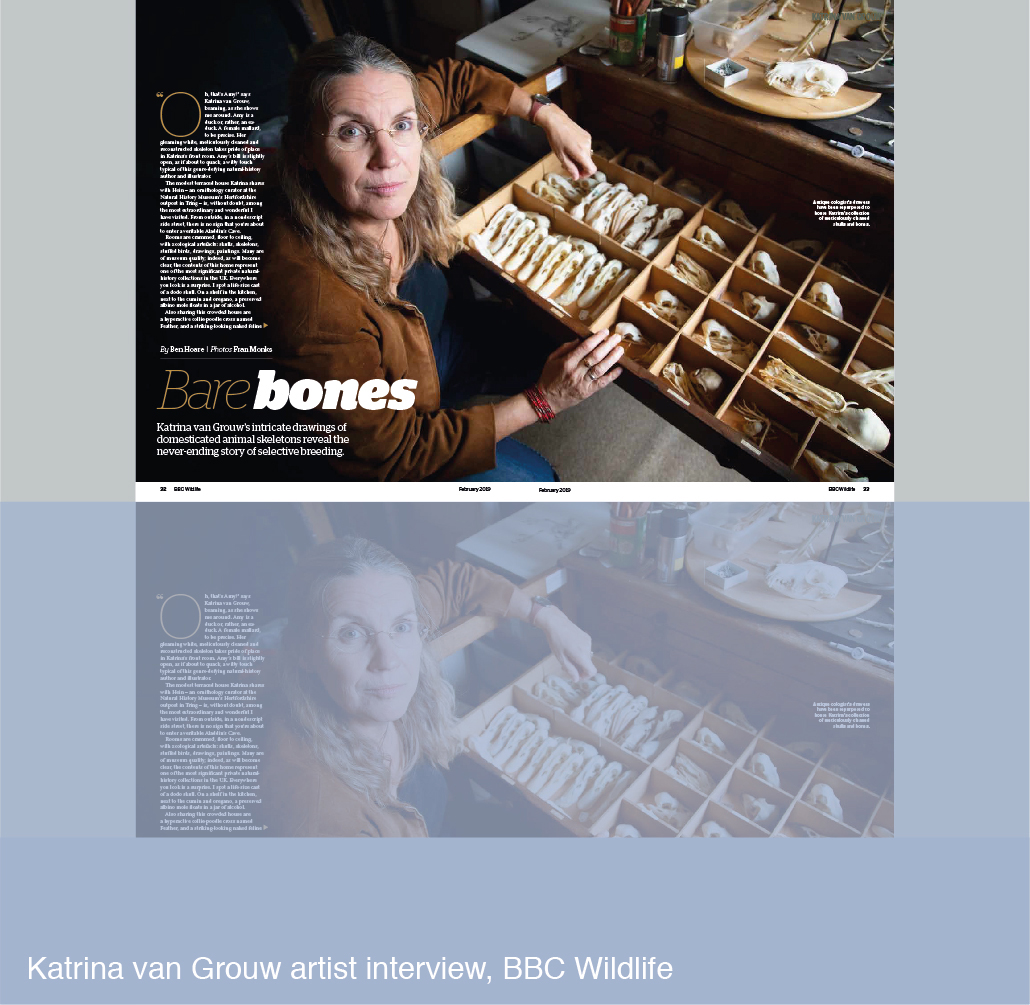 Katrina van Grouw artist interview for BBC Wildlife