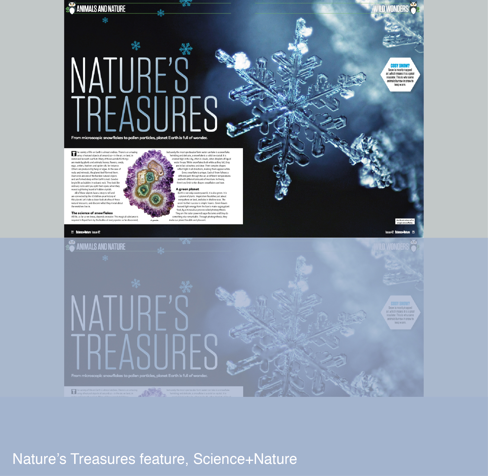 Nature's Treasures feature for Science+Nature