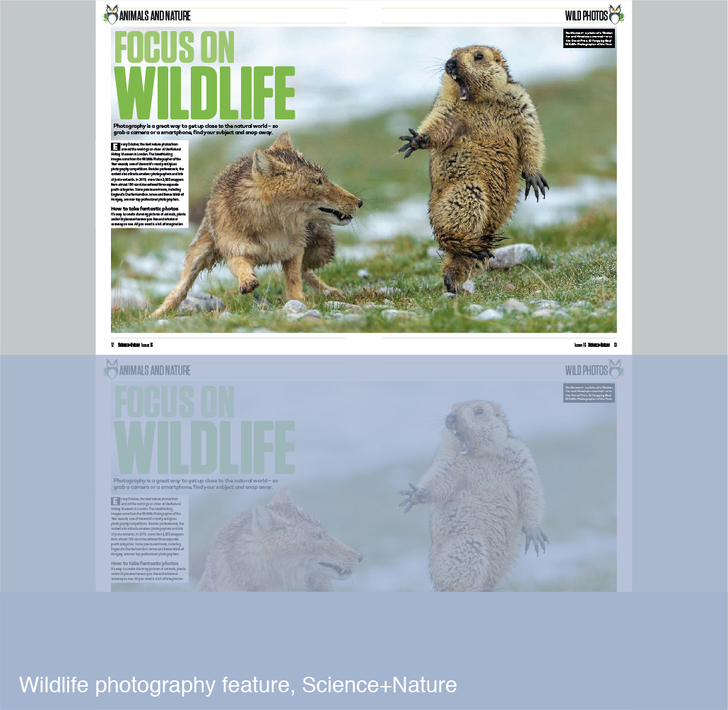 Wildlife photography feature for Science+Nature