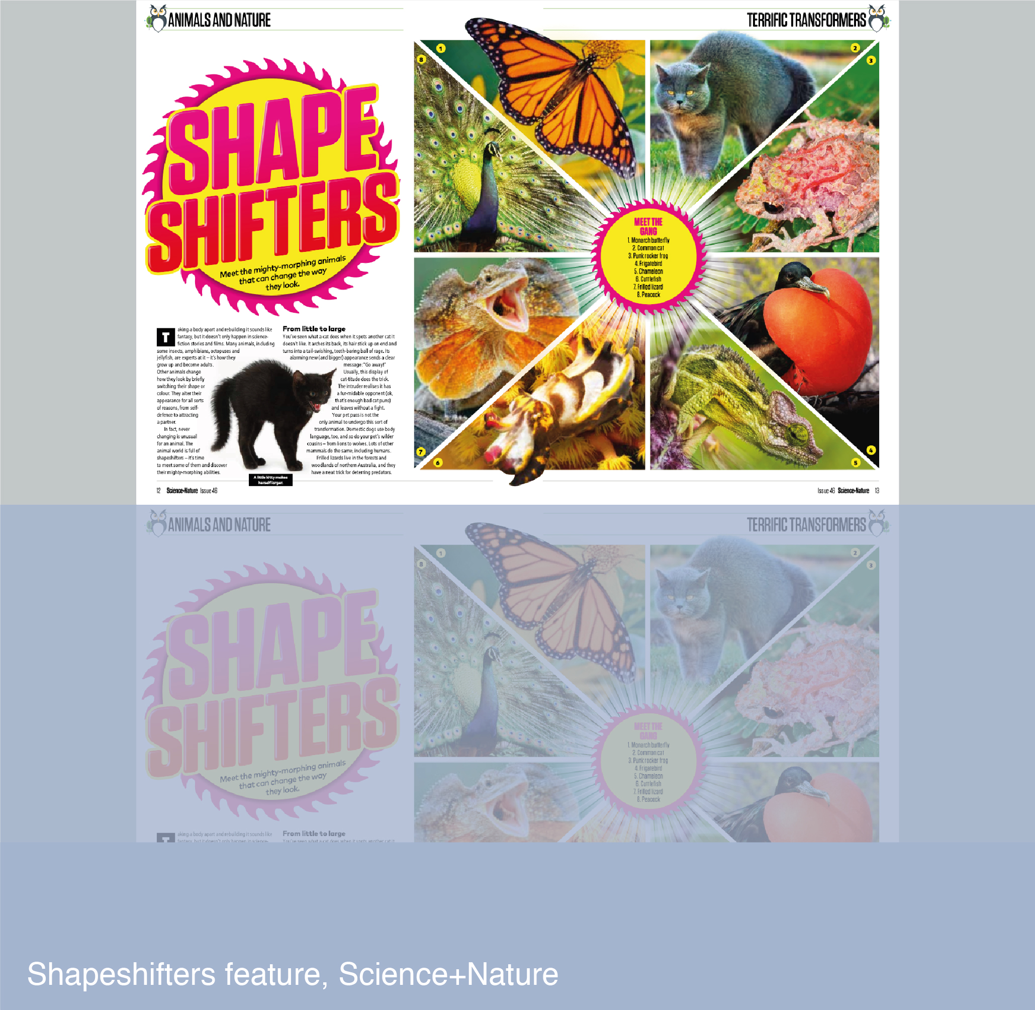 Shapeshifters feature for Science+Nature