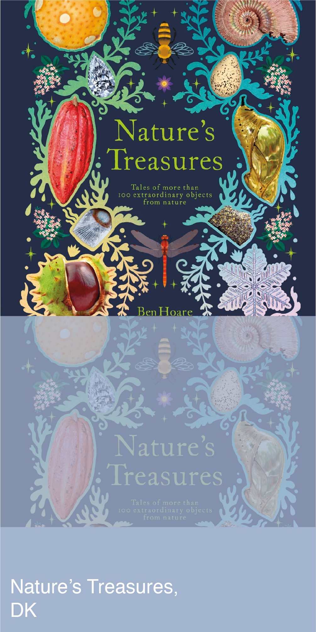 Nature's Treasures Book Cover
